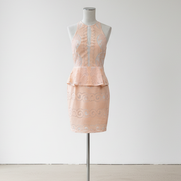 Shona Joy - Sweet Reckoning Cocktail Dress - Size 10  - BNWT