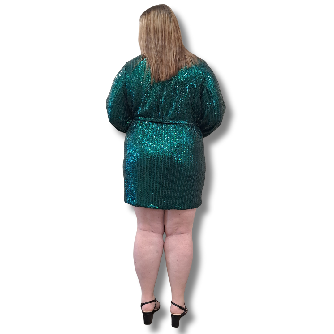 Stella Royal - Show Stopper Dress - Size 2 (18-20) - BNWT - Back